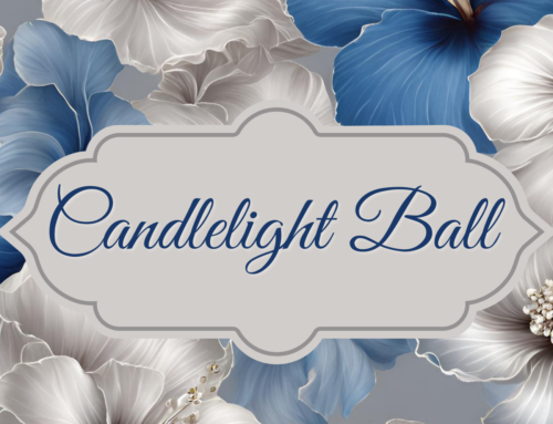 Hibiscus Children’s Center Candlelight Ball 2024